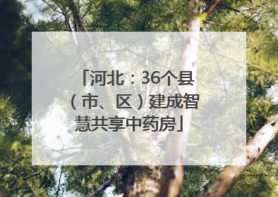 河北：36个县（市、区）建成智慧共享中药房