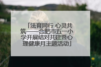 法育同行 心灵共筑——合肥市五一小学开展结对共建暨心理健康月主题活动
