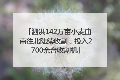 泗洪142万亩小麦由南往北陆续收割，投入2700余台收割机