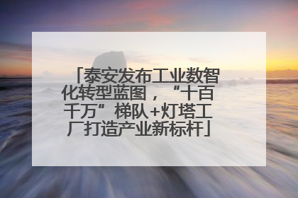 泰安发布工业数智化转型蓝图，“十百千万”梯队+灯塔工厂打造产业新标杆
