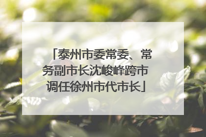 泰州市委常委、常务副市长沈峻峰跨市调任徐州市代市长