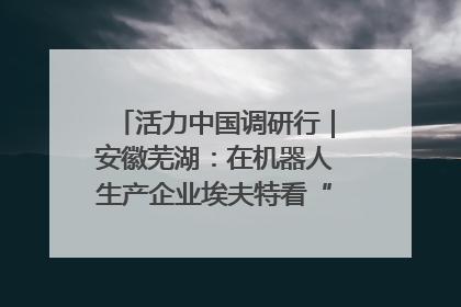 活力中国调研行｜安徽芜湖：在机器人生产企业埃夫特看“中国智造”