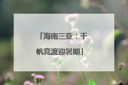 海南三亚：千帆竞渡迎暑期