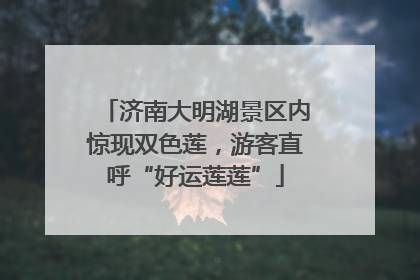 济南大明湖景区内惊现双色莲，游客直呼“好运莲莲”