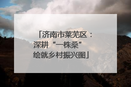 济南市莱芜区：深耕“一株桑” 绘就乡村振兴图