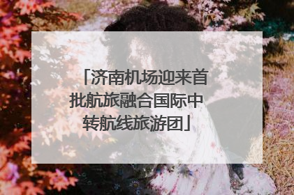济南机场迎来首批航旅融合国际中转航线旅游团