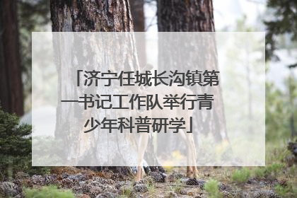 济宁任城长沟镇第一书记工作队举行青少年科普研学