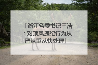 浙江省委书记王浩：对顶风违纪行为从严从重从快处理