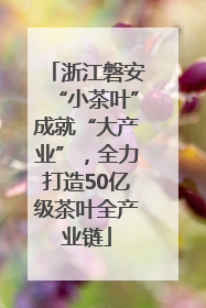 浙江磐安“小茶叶”成就“大产业”，全力打造50亿级茶叶全产业链
