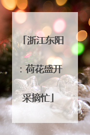 浙江东阳：荷花盛开采摘忙