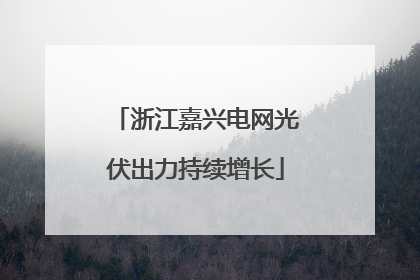 浙江嘉兴电网光伏出力持续增长