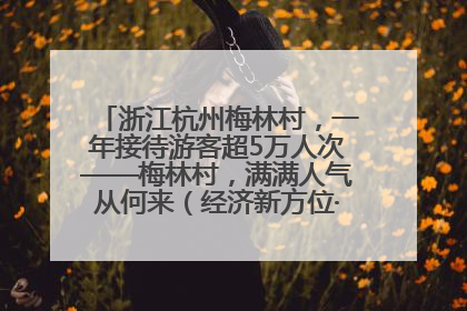 浙江杭州梅林村，一年接待游客超5万人次——梅林村，满满人气从何来（经济新方位·农村消费观察）