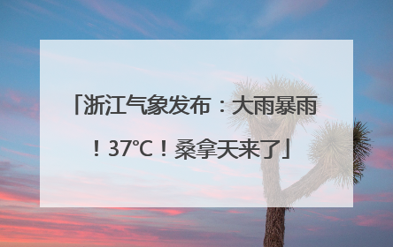 浙江气象发布：大雨暴雨！37℃！桑拿天来了