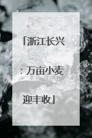 浙江长兴：万亩小麦迎丰收