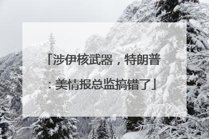 涉伊核武器，特朗普：美情报总监搞错了