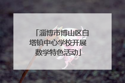 淄博市博山区白塔镇中心学校开展数学特色活动