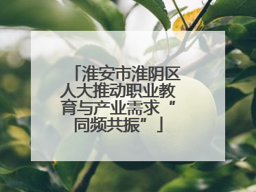 淮安市淮阴区人大推动职业教育与产业需求“同频共振”