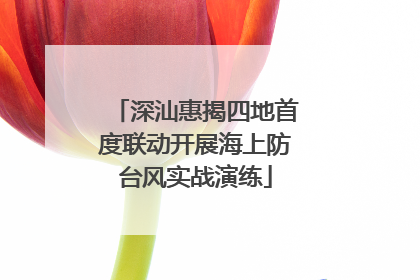 深汕惠揭四地首度联动开展海上防台风实战演练