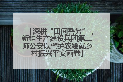 深耕“田间警务”，新疆生产建设兵团第二师公安以警护农绘就乡村振兴平安画卷