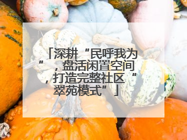 深耕“民呼我为”，盘活闲置空间，打造完整社区“翠苑模式”