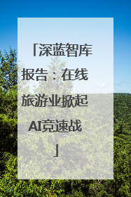 深蓝智库报告：在线旅游业掀起AI竞速战