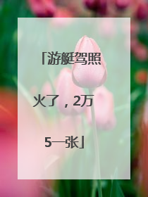 游艇驾照火了，2万5一张