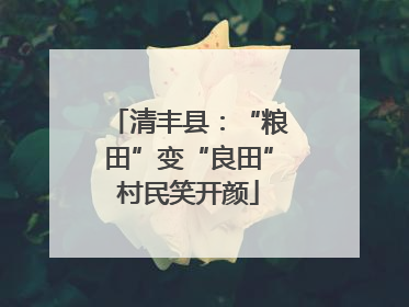 清丰县：“粮田”变“良田”村民笑开颜