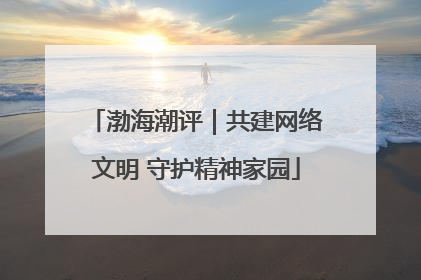 渤海潮评｜共建网络文明 守护精神家园