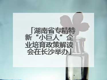 湖南省专精特新“小巨人”企业培育政策解读会在长沙举办
