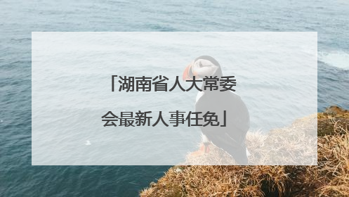 湖南省人大常委会最新人事任免
