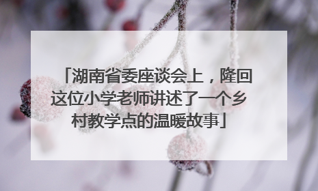 湖南省委座谈会上，隆回这位小学老师讲述了一个乡村教学点的温暖故事