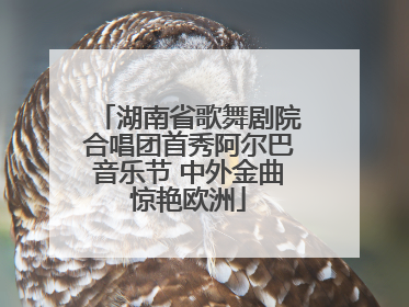湖南省歌舞剧院合唱团首秀阿尔巴音乐节 中外金曲惊艳欧洲