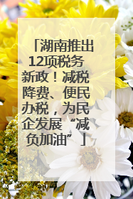 湖南推出12项税务新政！减税降费、便民办税，为民企发展“减负加油”