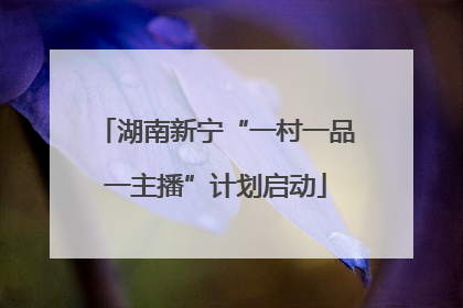 湖南新宁“一村一品一主播”计划启动