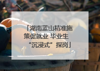 湖南蓝山精准施策促就业 毕业生“沉浸式”探岗
