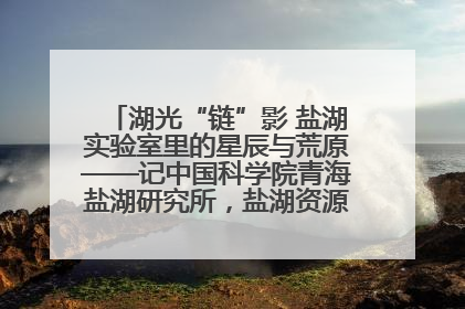 湖光“链”影 盐湖实验室里的星辰与荒原——记中国科学院青海盐湖研究所，盐湖资源化学实验室党总支书记、副主任刘忠