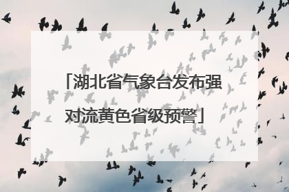 湖北省气象台发布强对流黄色省级预警