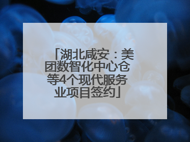 湖北咸安：美团数智化中心仓等4个现代服务业项目签约