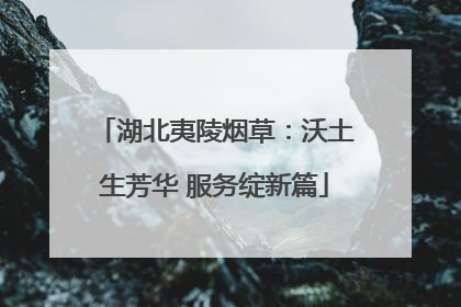 湖北夷陵烟草：沃土生芳华 服务绽新篇