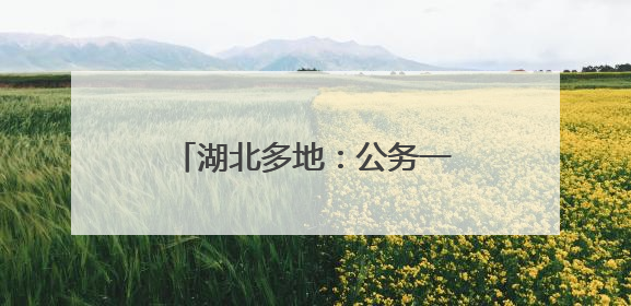 湖北多地：公务一律扫码吃食堂！
