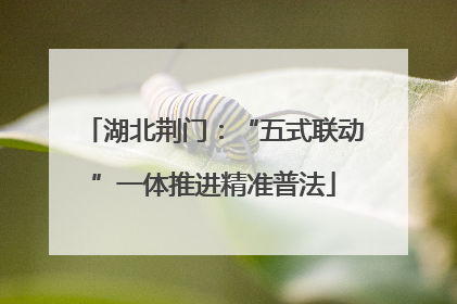 湖北荆门：“五式联动”一体推进精准普法