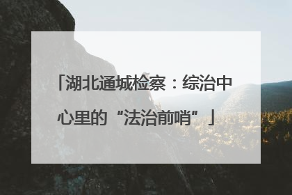 湖北通城检察：综治中心里的“法治前哨”