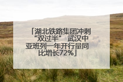 湖北铁路集团冲刺“双过半” 武汉中亚班列一年开行量同比增长72%