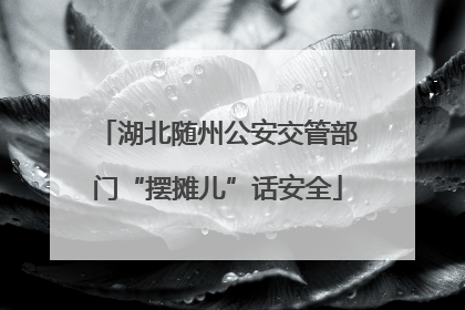 湖北随州公安交管部门“摆摊儿”话安全
