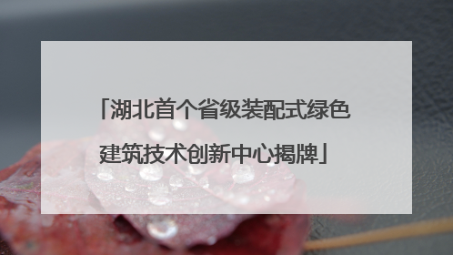 湖北首个省级装配式绿色建筑技术创新中心揭牌