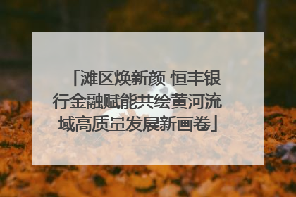 滩区焕新颜 恒丰银行金融赋能共绘黄河流域高质量发展新画卷