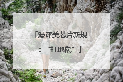 漫评美芯片新规：“打地鼠”