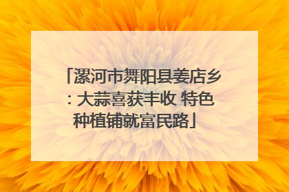 漯河市舞阳县姜店乡：大蒜喜获丰收 特色种植铺就富民路