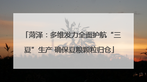 菏泽：多维发力全面护航“三夏”生产 确保夏粮颗粒归仓