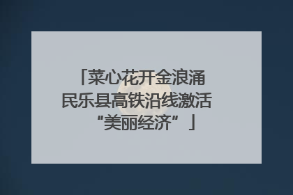 菜心花开金浪涌 民乐县高铁沿线激活“美丽经济”